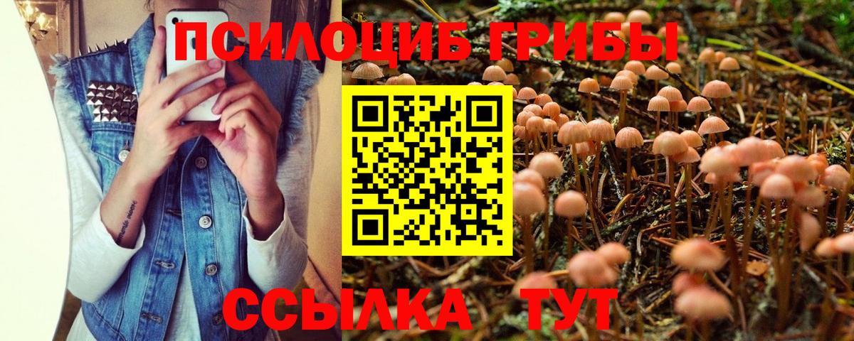 Галлюциногенные грибы мухоморы  Вход с VPN  Псилоцибиновые грибы Psilocybe  Белореченск 